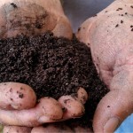 Hook & Garden Worm Ranch